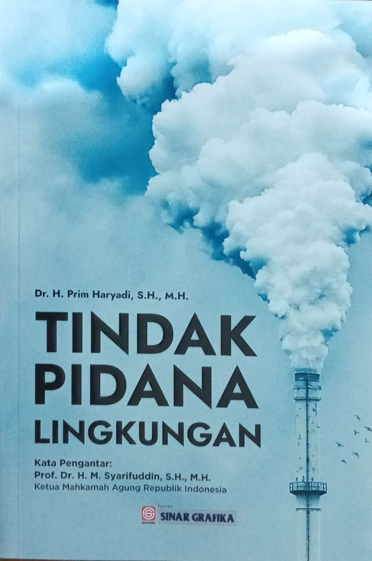 Tindak pidana lingkungan