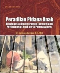 Peradilan Pidana Anak di Indonesia dan Instrumen Internasional Perlindungan Anak Serta Penerapannya